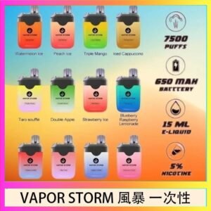 Vapor Storm風暴電子煙7500口（5%）一次性