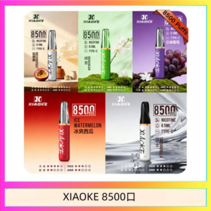 梟客XIAOKE一次性電子菸拋棄式8500口