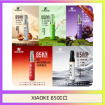 梟客XIAOKE一次性電子菸拋棄式8500口